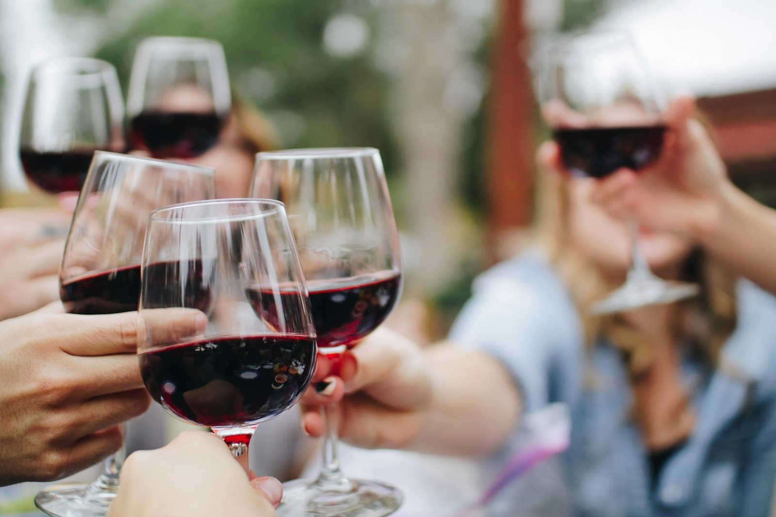 Beyond the Wine: Uncovering the Deep History of Franschhoek and Stellenbosch