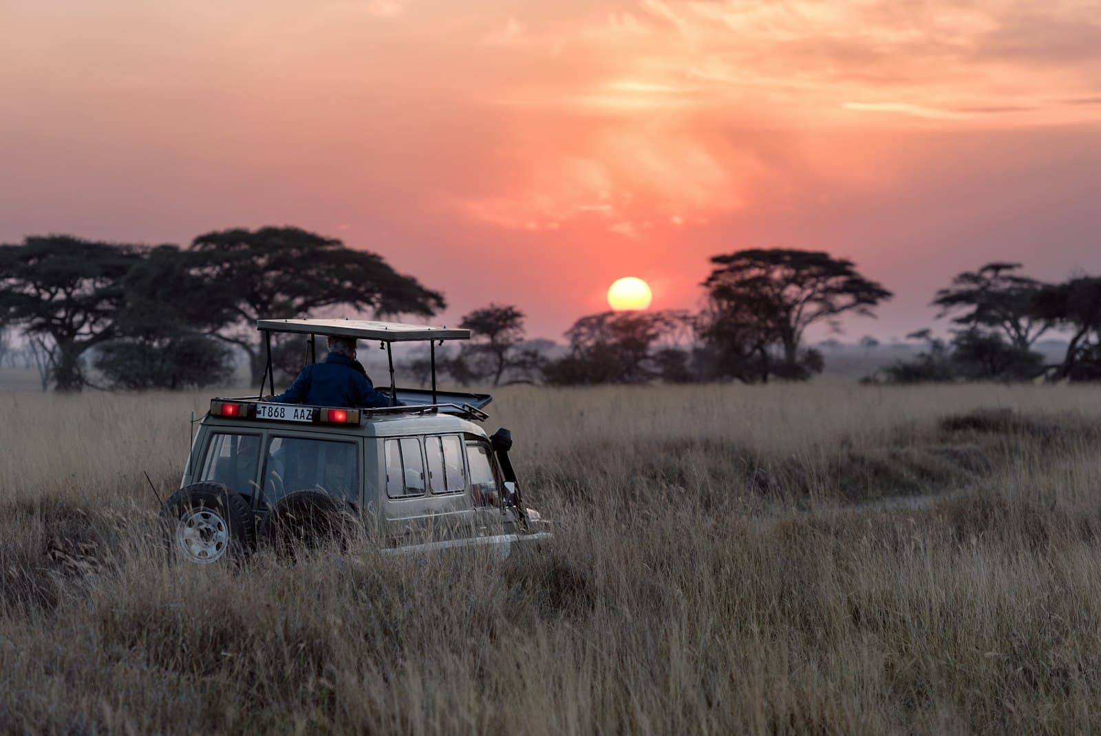 Aquila Private Game Reserve Luxury Big 5 Safari