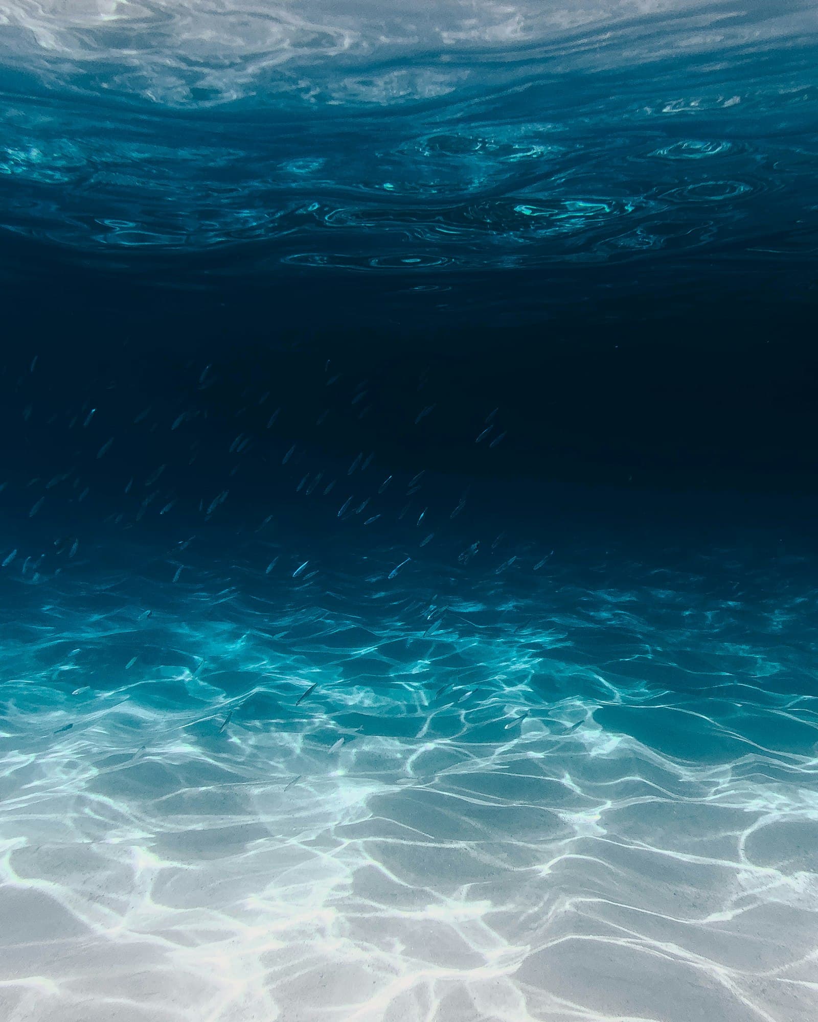 Constantia Valley Historic Wine & Dine Pocket